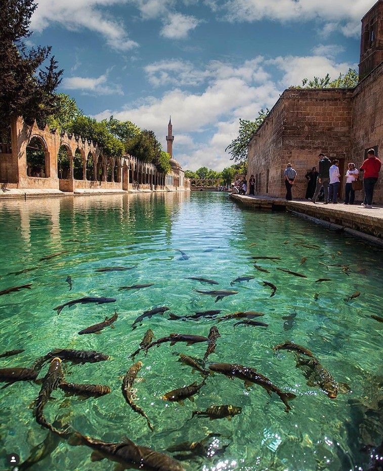 RAMAZAN BAYRAMI ÖZEL BUTİK GAP TURU Fotoğrafları 