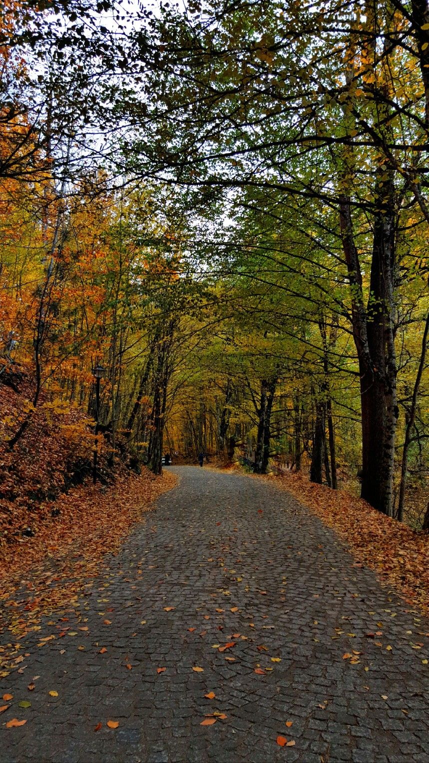GÜNÜBİRLİK  BELEMEDİK DOĞA ŞÖLENİ Fotoğrafları 